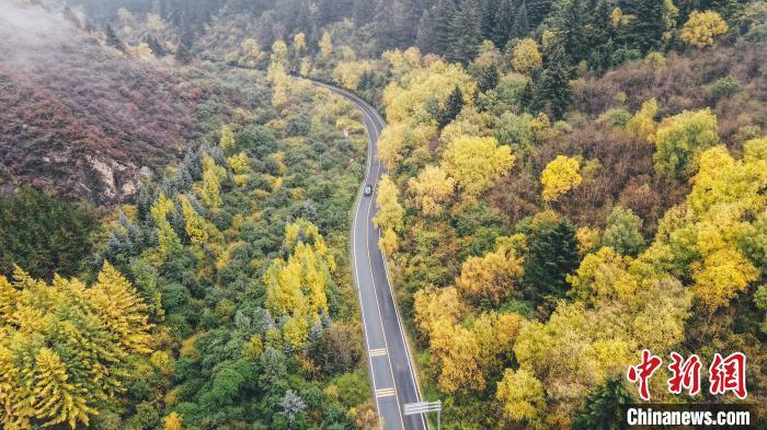 深秋，航拍位于蘭州市榆中縣的興隆山，景色如畫。金峯 攝</p>
<p>