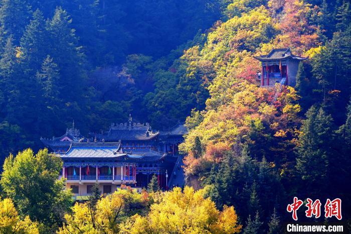 深秋，位于蘭州市榆中縣的興隆山景色如畫。宮衛(wèi)紅 攝