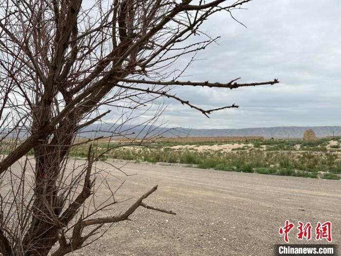 圖為位于長城墻體上的“馬面”或“敵臺”?！〈魑牟?攝