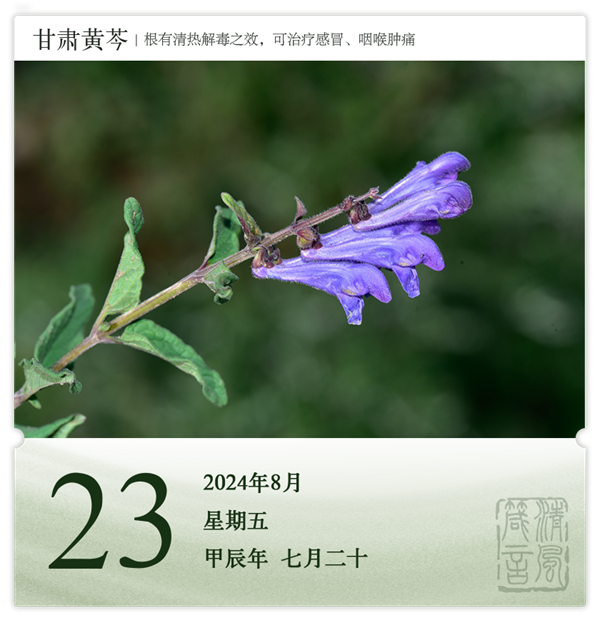 1722581916207510.png 箴歷日歷8-23.png