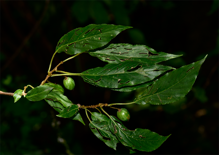 1730190124387398.png 27-2.png