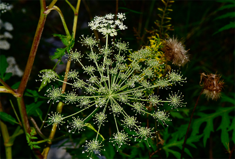 1730190286117285.jpg 28-2.jpg