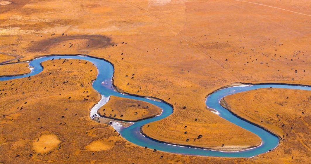 牧歌悠揚(yáng)濕地美 瑪曲草原的冬日慢時(shí)光