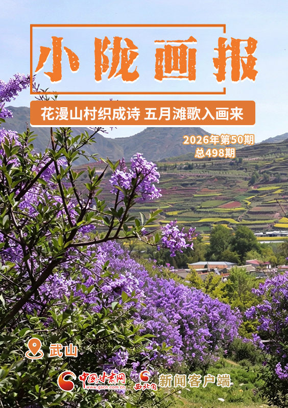 【小隴畫報·498期】武山：花漫山村織成詩 五月灘歌入畫來